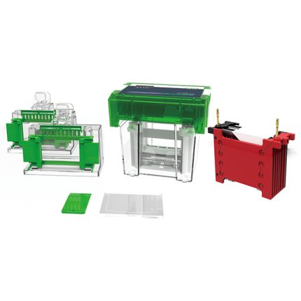 alles-in-één elektroforese- en blottingsysteem