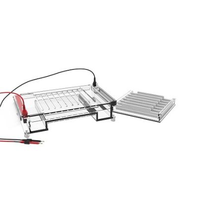 horizontale elektroforesecel met hoge verwerkingscapaciteit