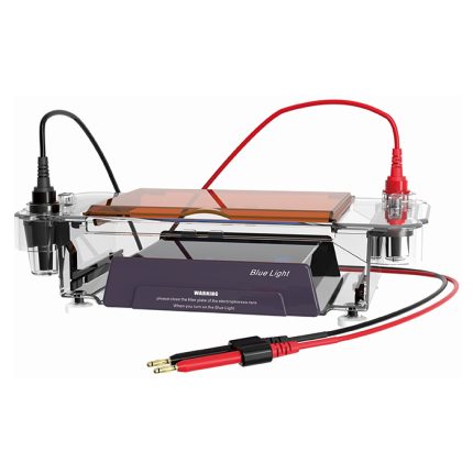 horizontale elektroforesecel met verlichting met blauw licht