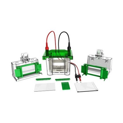 mini verticale elektroforesecel